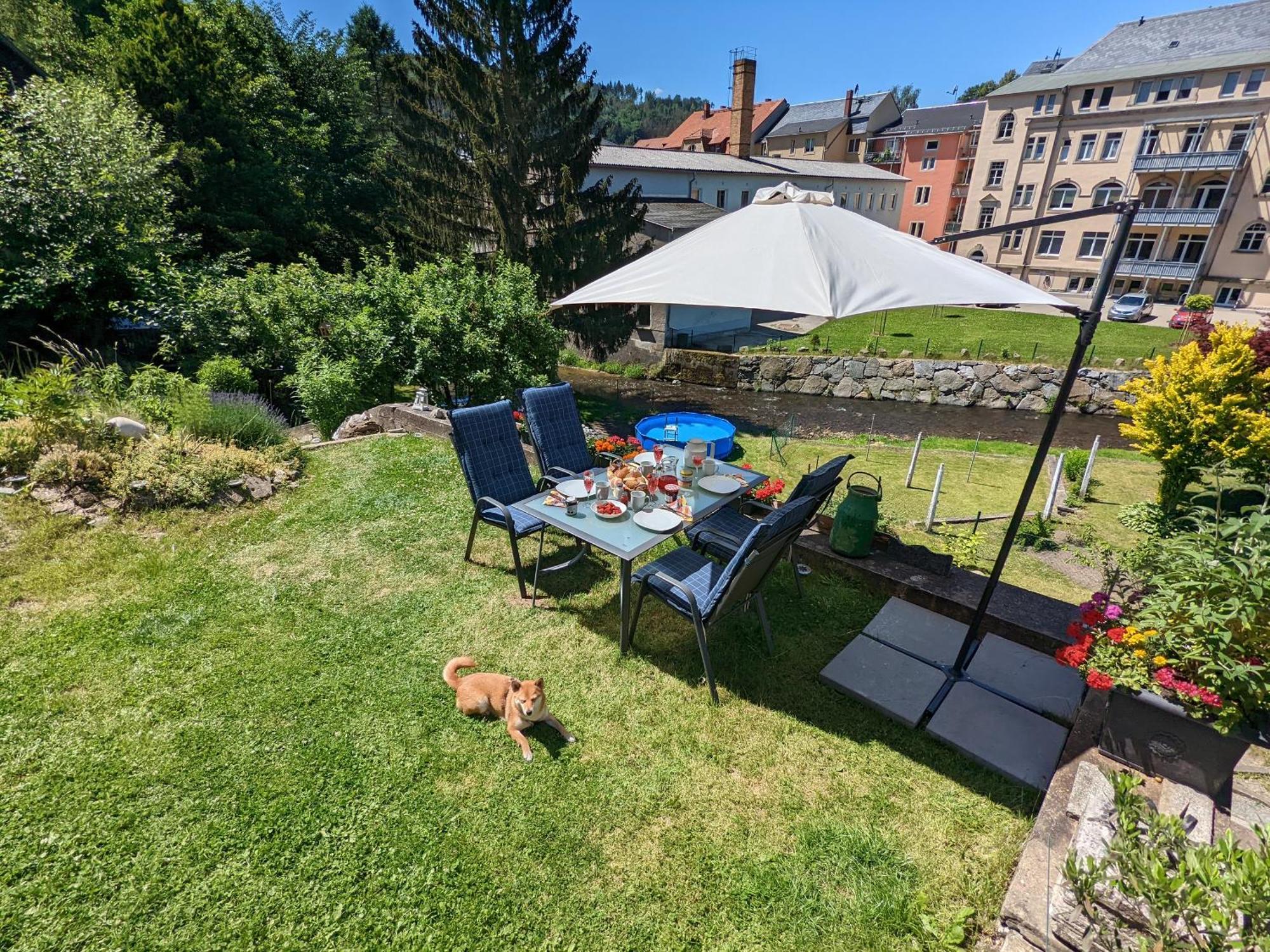 F1 - Urlaubsmagie - Helle Wohnung Mit Sauna & Pool & Whirlpool Sebnitz Luaran gambar