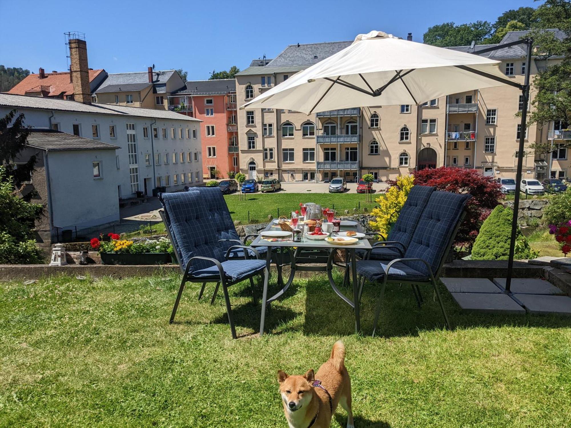 F1 - Urlaubsmagie - Helle Wohnung Mit Sauna & Pool & Whirlpool Sebnitz Luaran gambar
