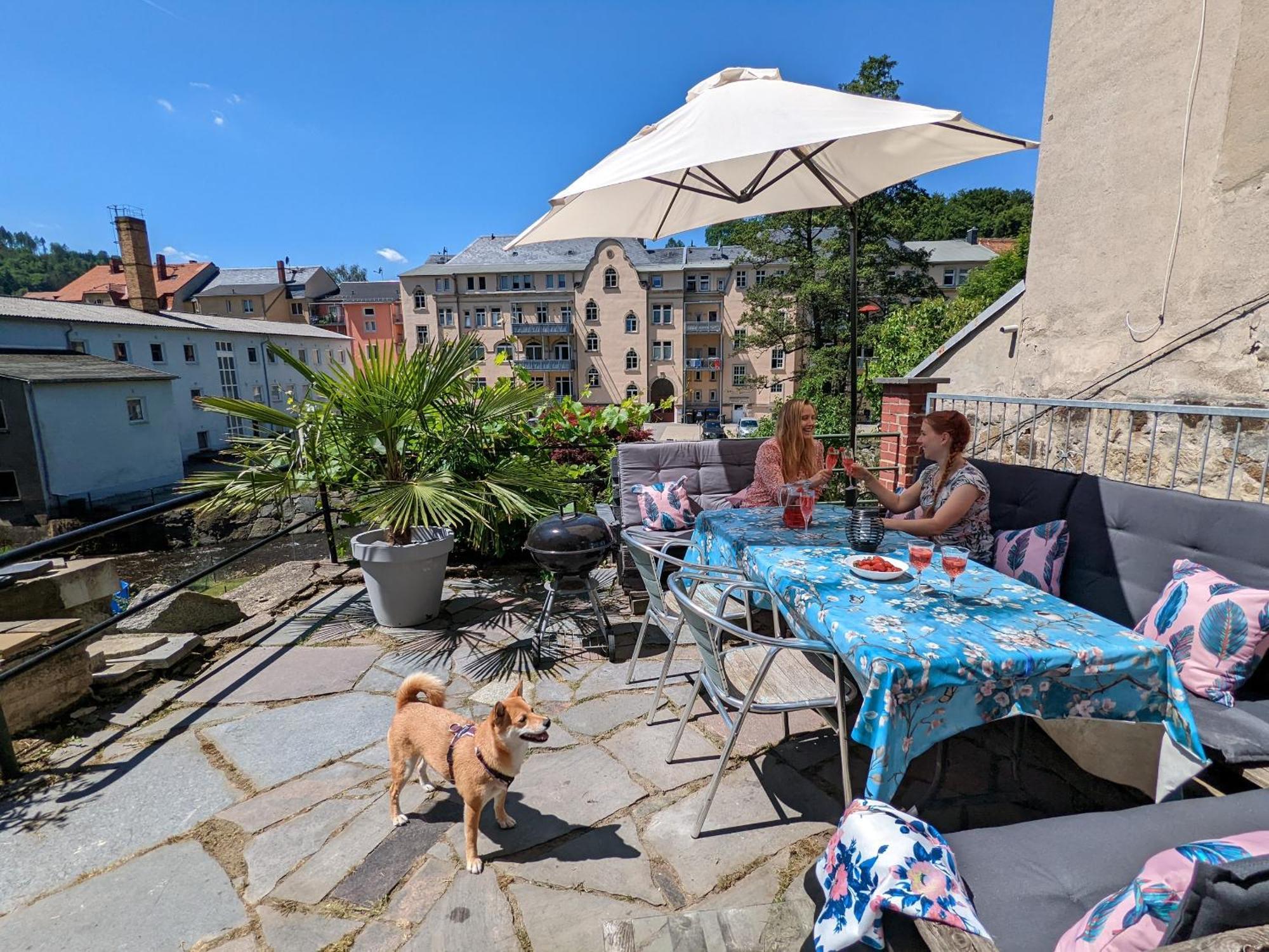 F1 - Urlaubsmagie - Helle Wohnung Mit Sauna & Pool & Whirlpool Sebnitz Luaran gambar
