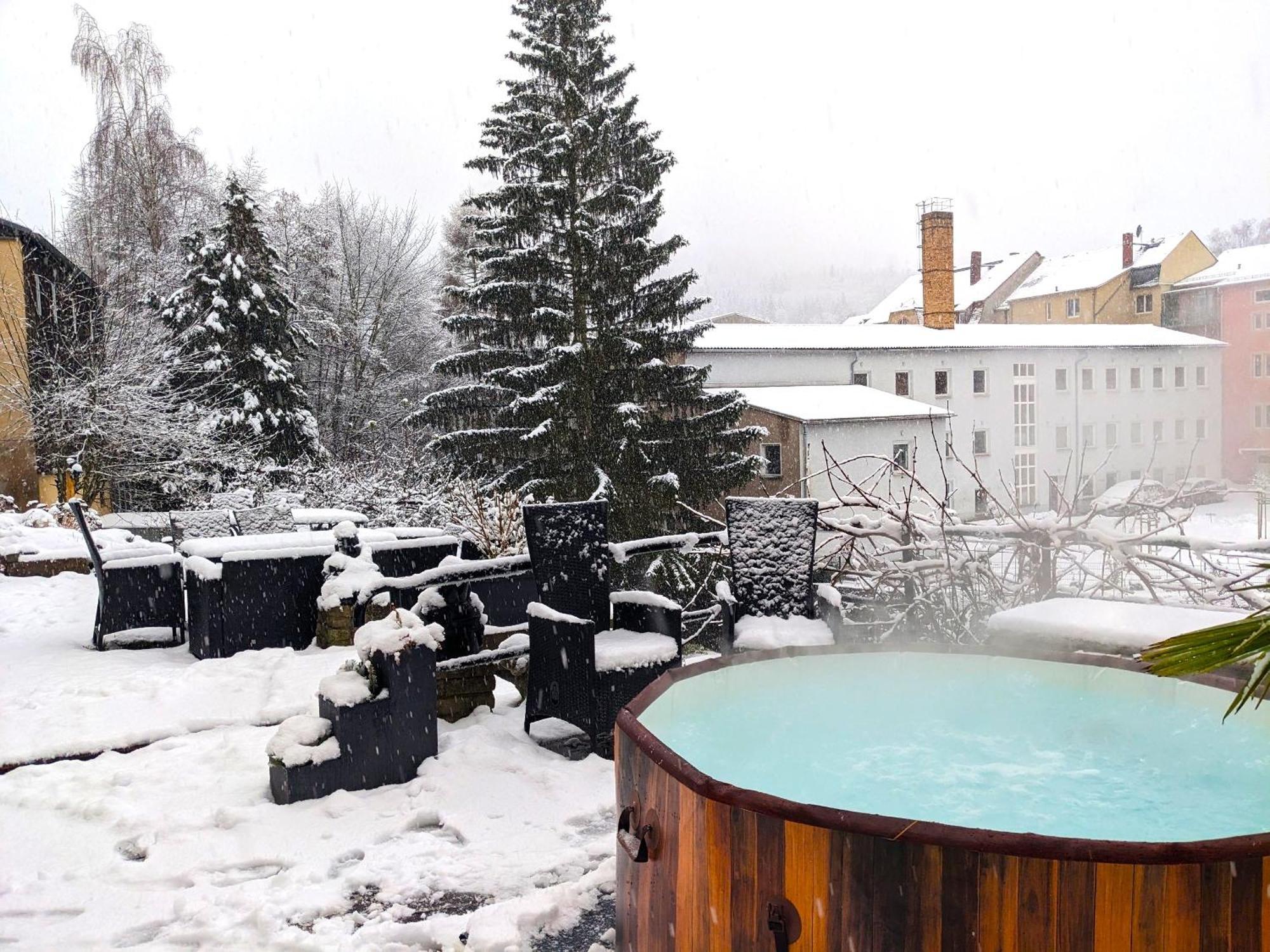 F1 - Urlaubsmagie - Helle Wohnung Mit Sauna & Pool & Whirlpool Sebnitz Luaran gambar