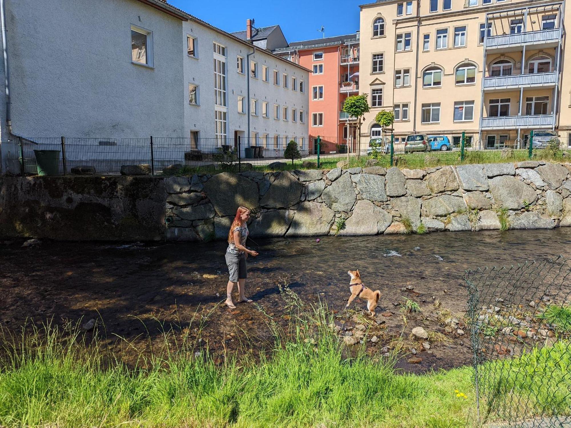 F1 - Urlaubsmagie - Helle Wohnung Mit Sauna & Pool & Whirlpool Sebnitz Luaran gambar
