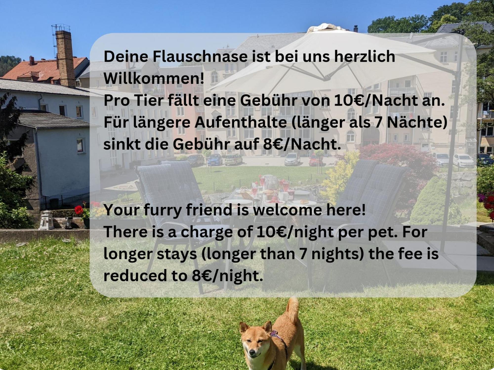 F1 - Urlaubsmagie - Helle Wohnung Mit Sauna & Pool & Whirlpool Sebnitz Luaran gambar